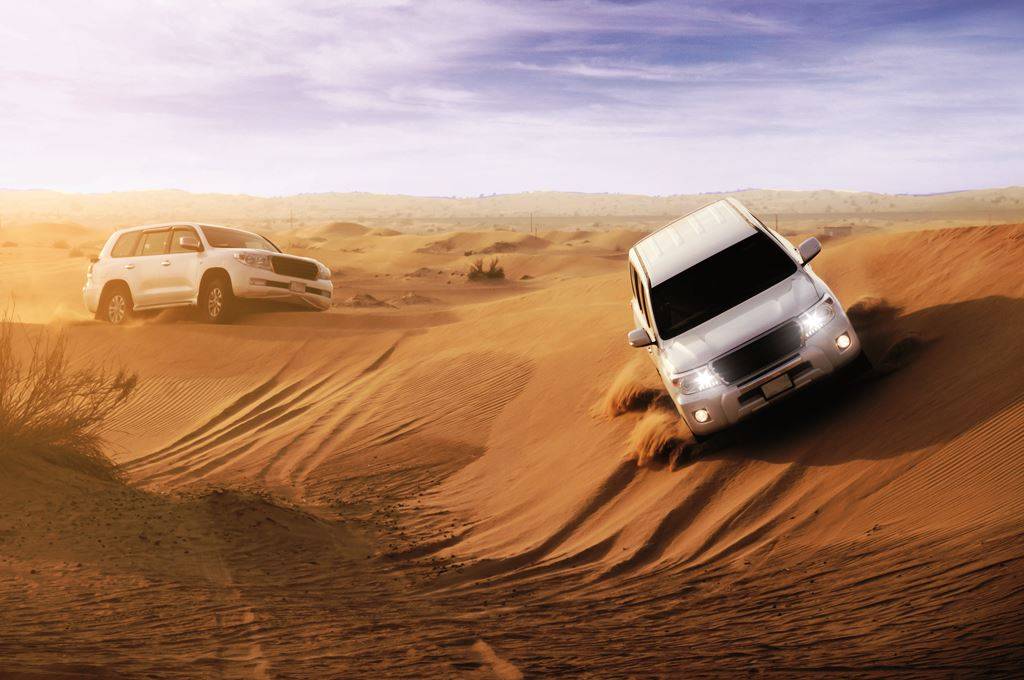 desert experience